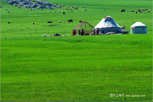 新疆阿勒泰简介