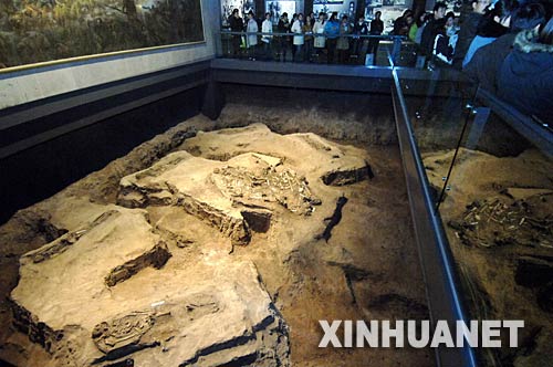 南京大屠杀纪念馆又挖出一批遇难者遗骸