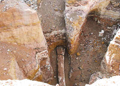 村官 有了 退休金 江西省公安厅机关取消双休