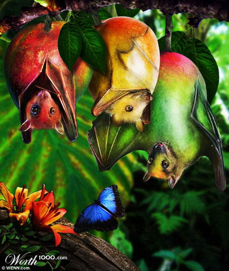 【组图】超强PS动植物合成体图:香蕉鱼 草莓蛙