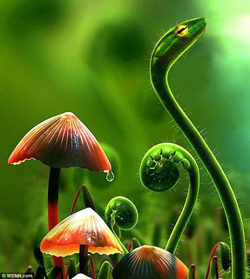 【组图】超强PS动植物合成体图:香蕉鱼 草莓蛙
