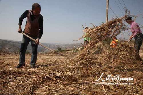 天冷了,谁来照顾你 俺的留守爹娘