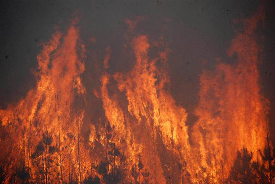 云南保山森林起火面积超400亩 纵火嫌犯被抓