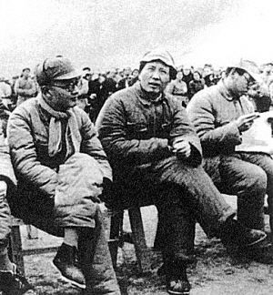 历史回眸:毛泽东为啥一定要处决刘青山张子善?