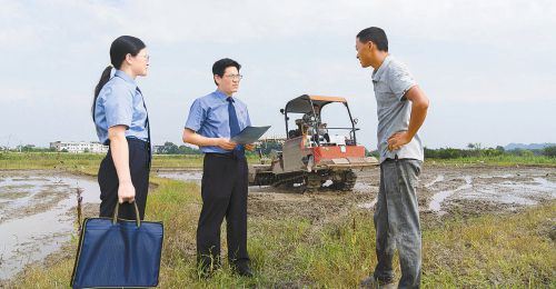 实地调研了解耕地保护情况