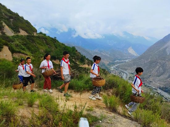 文县东坝童声齐唱团的孩子们在文县山上采摘花椒。