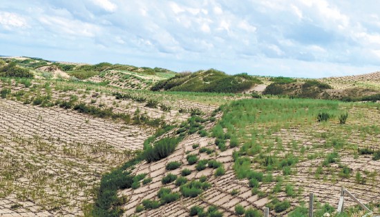  Harnessing effect of Horqin sandy land.