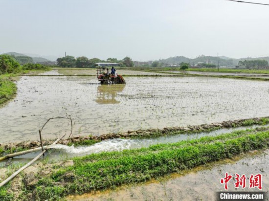 广西博白：农机助力抗旱保春耕