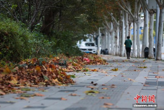 湖北武汉迎来大风降温天气