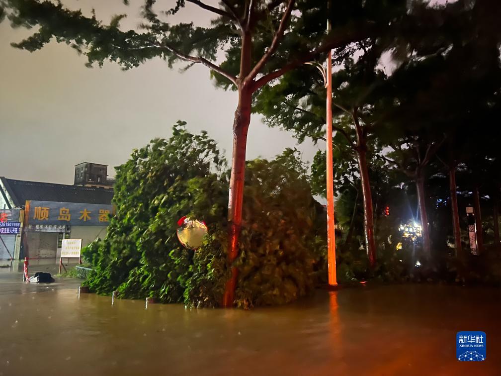 7月17日晚，在广东湛江海滨正途北，路边的树木被风刮倒（手机相片）。新华社记者 邓华 摄